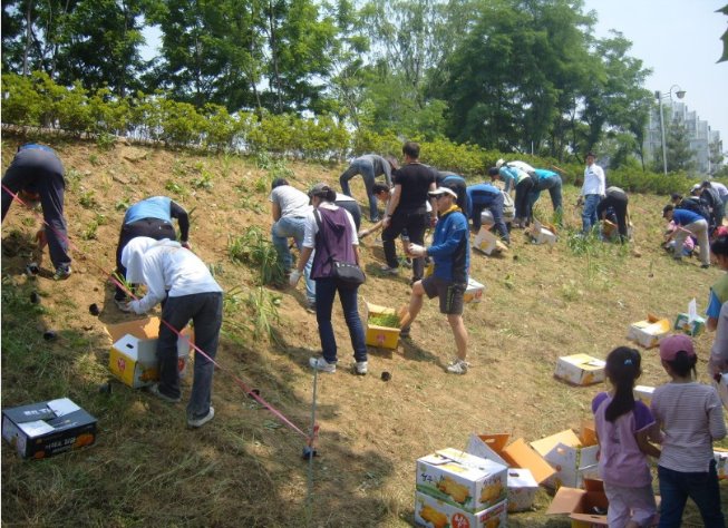 성내천살리기32.jpg